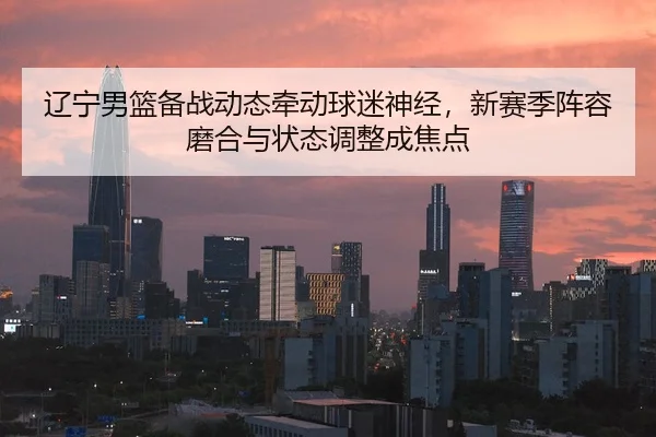 辽宁男篮备战动态牵动球迷神经，新赛季阵容磨合与状态调整成焦点
